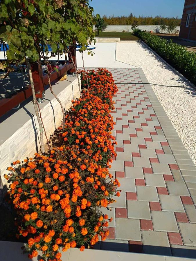 Villa Verbena Mala Cista Номер фото